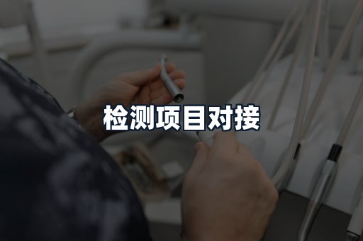 检测项目对接